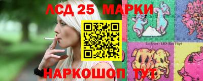 крисы Моздок