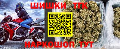 крисы Моздок