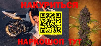 крисы Моздок