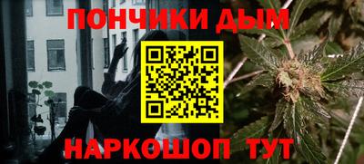 крисы Моздок