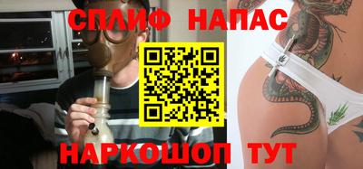 крисы Моздок