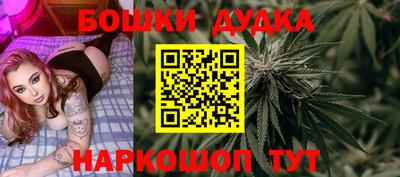 крисы Моздок