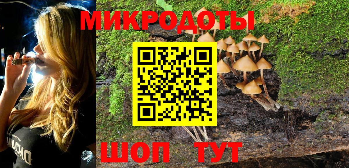 Верхняя Пышма  Псилоцибиновые грибы Cubensis  Вход с VPN 