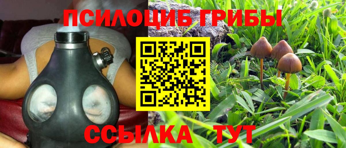 Галлюциногенные грибы Psilocybine cubensis Верхняя Пышма